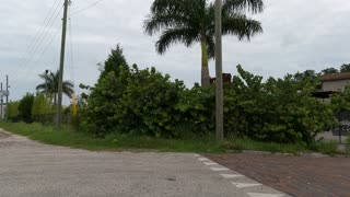 (00386) Part Fourteen (D) - Saint Petersburg, Florida. Driving the Hood!