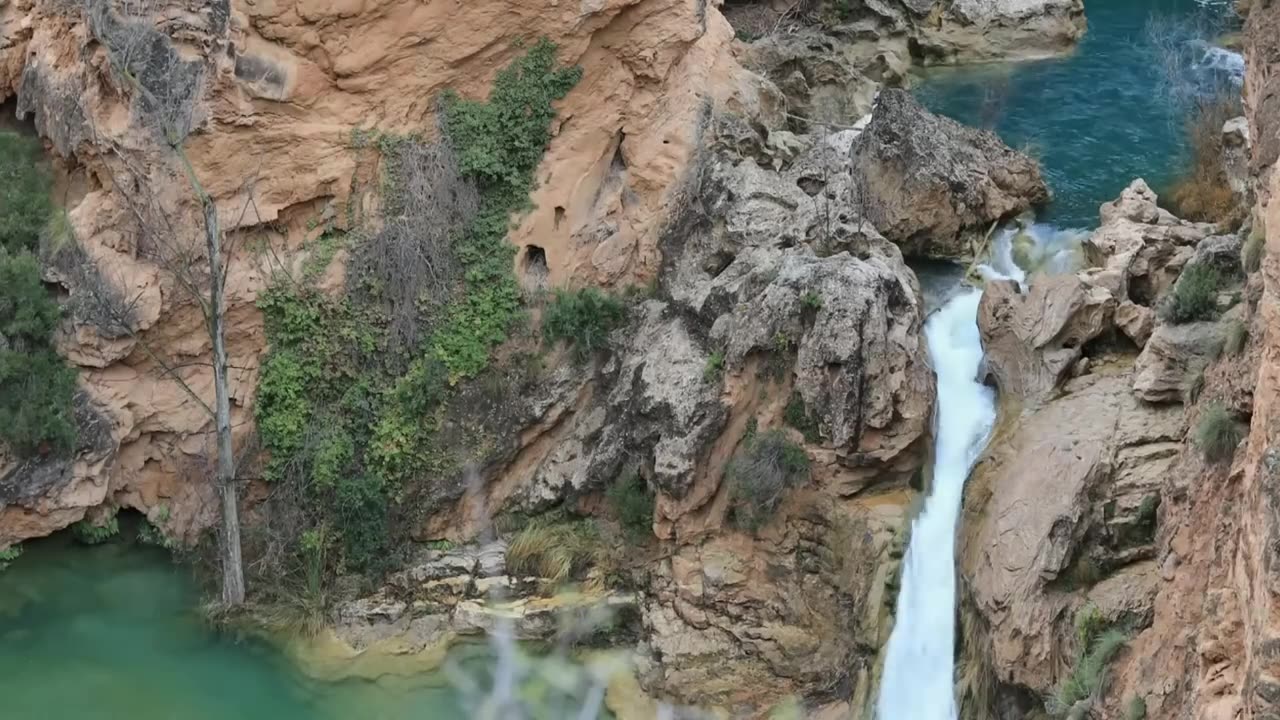 Nature video
