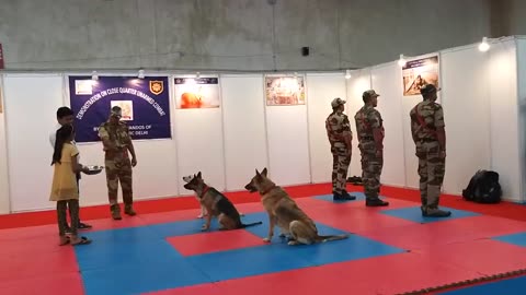 Police dog training video