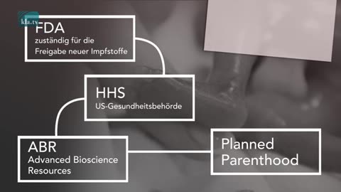 Ausbeutung von Organen bei Föten