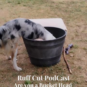 Cable, bucket head ! 3