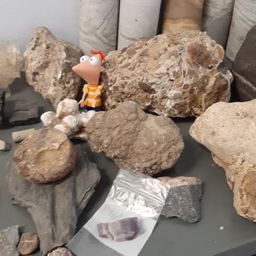 Rocks on the shelf