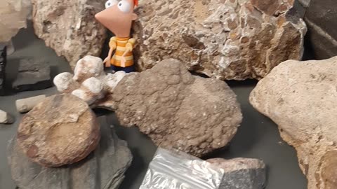 Rocks on the shelf