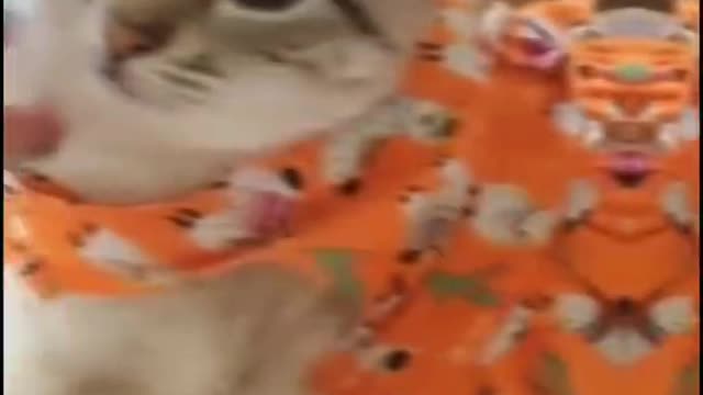 Ai mamãe segura 10Mil