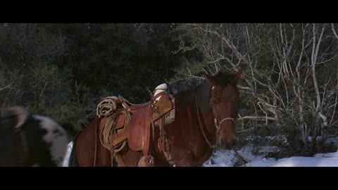 The Appaloosa | 1966 | St: Marlon Brando, John Saxon