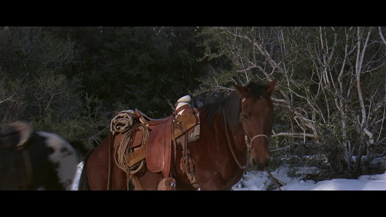 The Appaloosa | 1966 | St: Marlon Brando, John Saxon