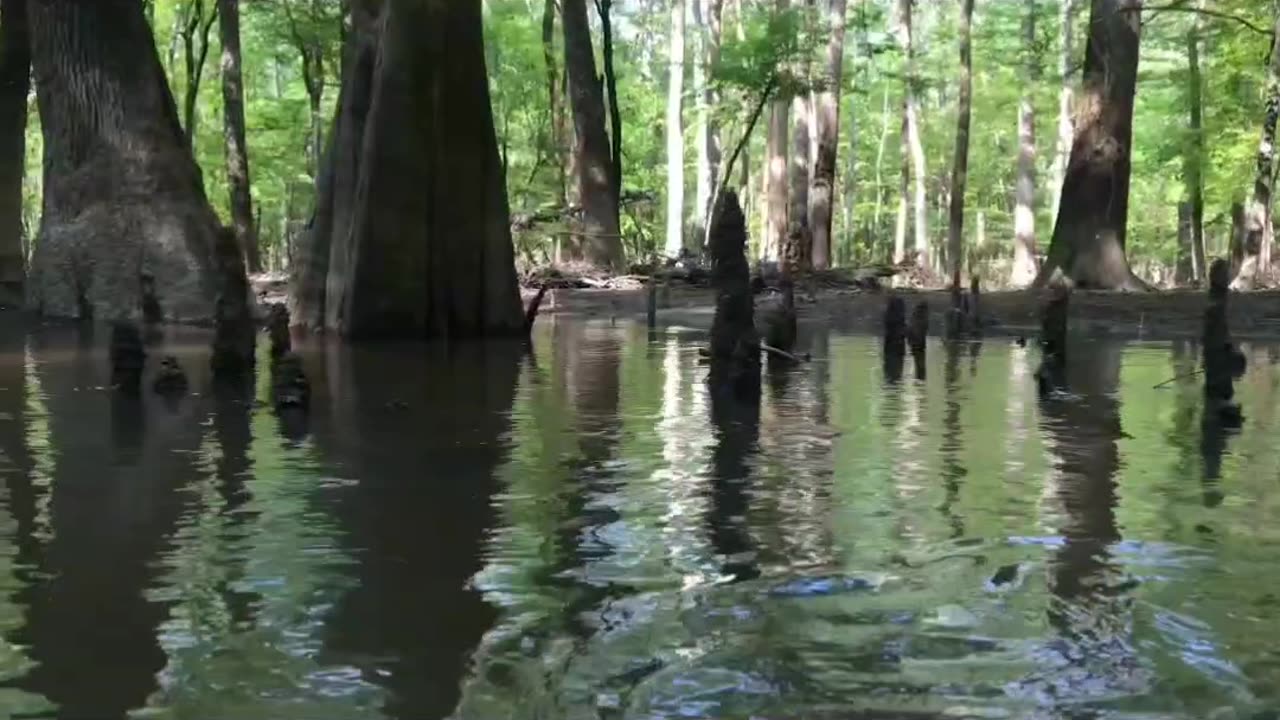 Nasa captured views with relaxing music