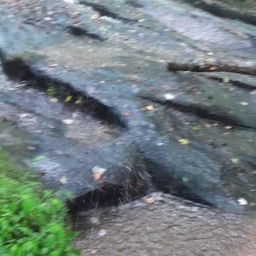 The floodgates have opened up on us.