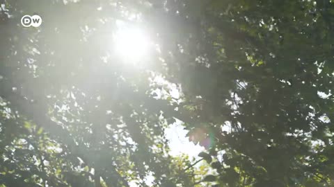 Is Germany about to get another far-right mayor?