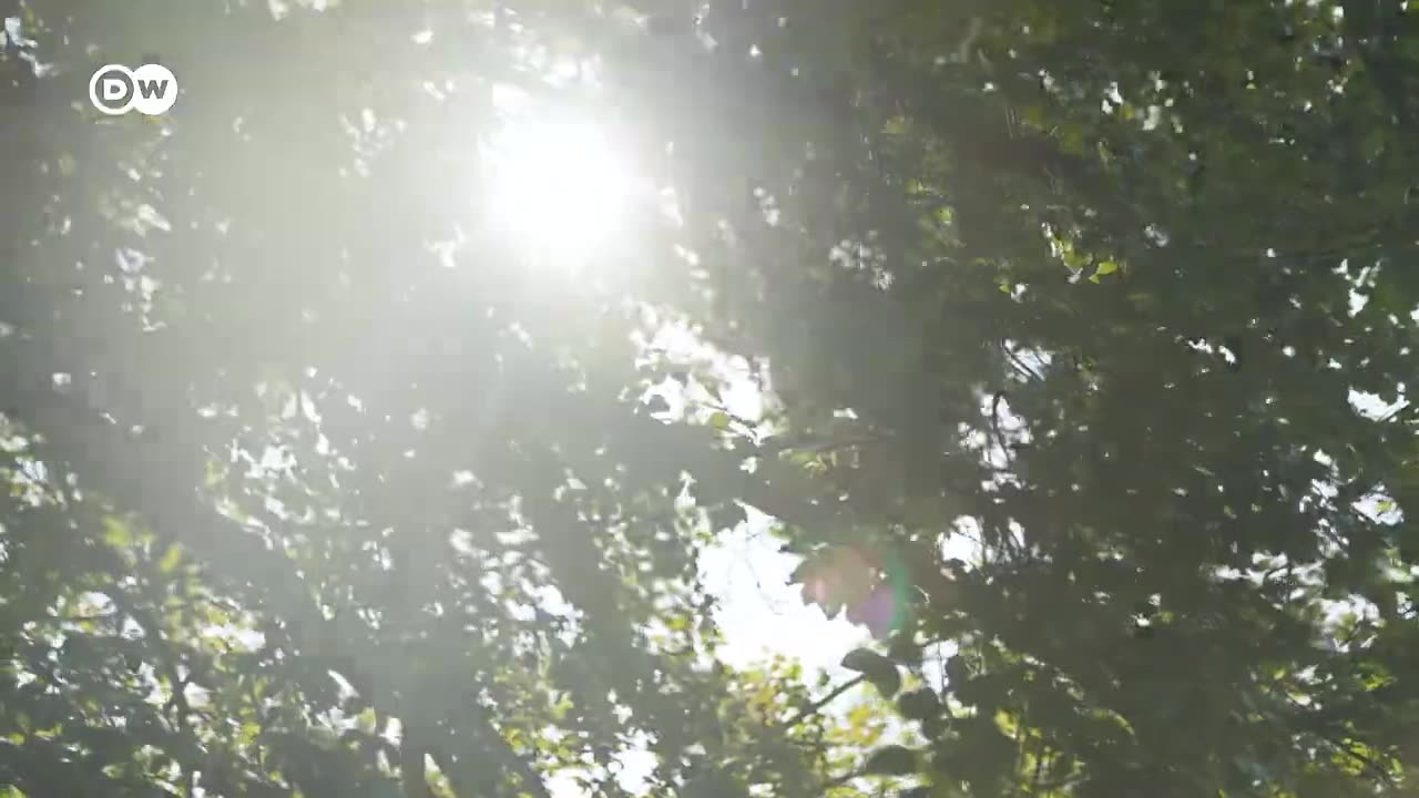 Is Germany about to get another far-right mayor?