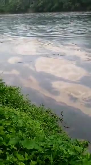 Así se ve el río Tibú ante el derrame de crudo de Caño Limón - Coveñas