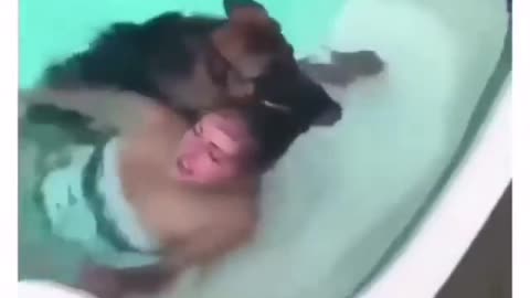 Brave 🐕 saves girl with unbreakable bond. #HeroDog 🌊💖