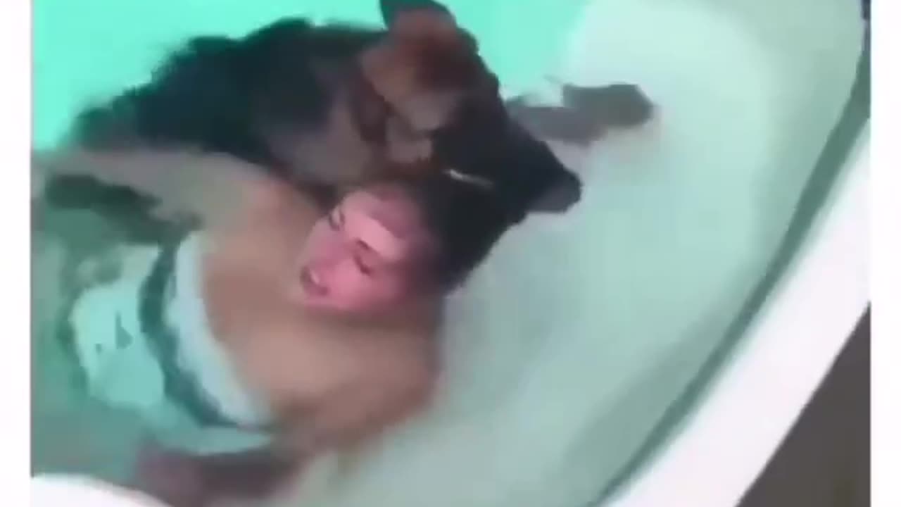 Brave 🐕 saves girl with unbreakable bond. #HeroDog 🌊💖