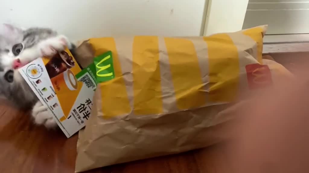 McDonald's New Arrivals Would you like oneš„°