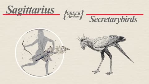 Secretary Birds: Killer Queens