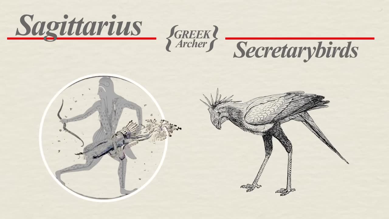 Secretary Birds: Killer Queens