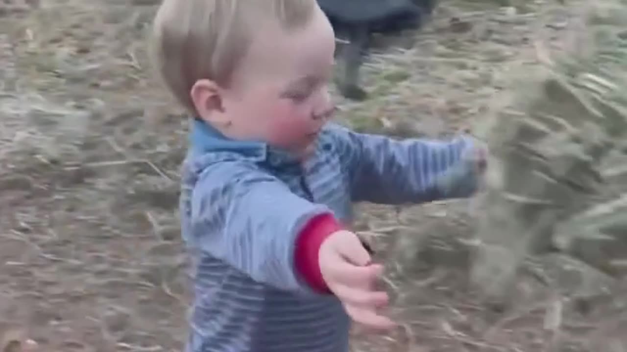 😍 Take a break 🧡