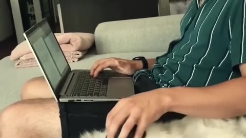 Funniest Animal Videos