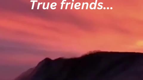 Friendship Quote