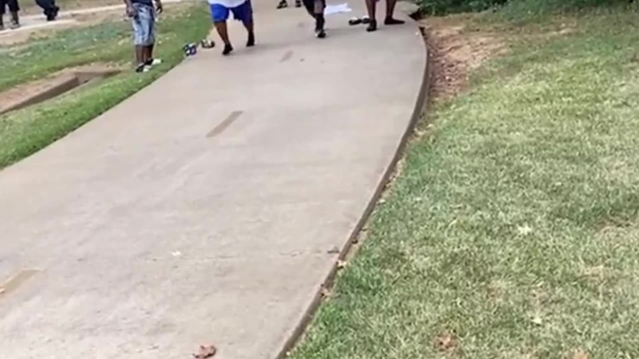Crazy and Funny Videos!