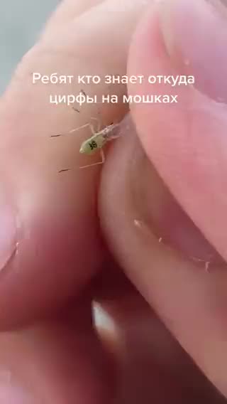 Look Bill Gates's Mosquitos Are Numbered!