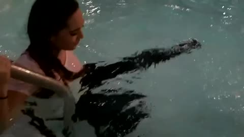 wetlook,wet t shirt,wet look,wet shirt,wetlook girl,wet t-shirt,wet t-shirt contest,playeras mojadas 