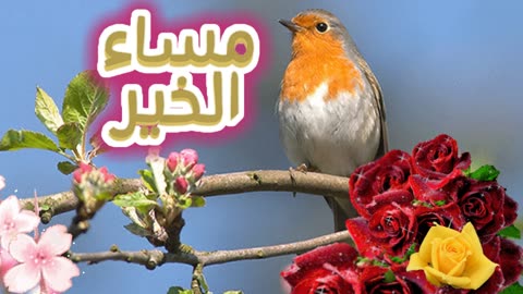 مساء الخير رمضان مبارك كريم