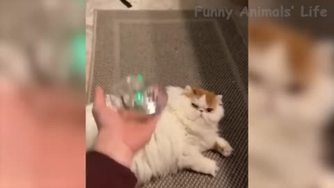 Funny animals 🤣😁🙂