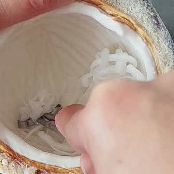 shredding #shorts #food #like #share