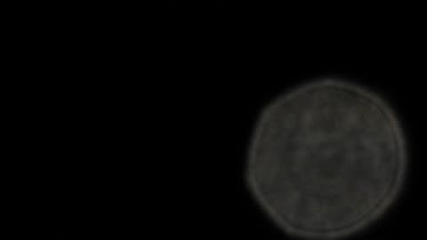 Sirius, Monday, 3 April 2023