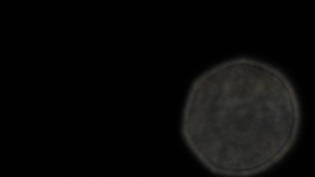 Sirius, Monday, 3 April 2023
