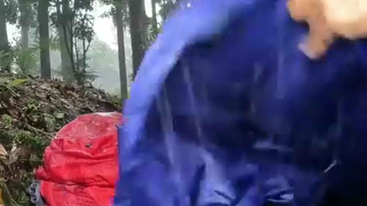 Full enjoy