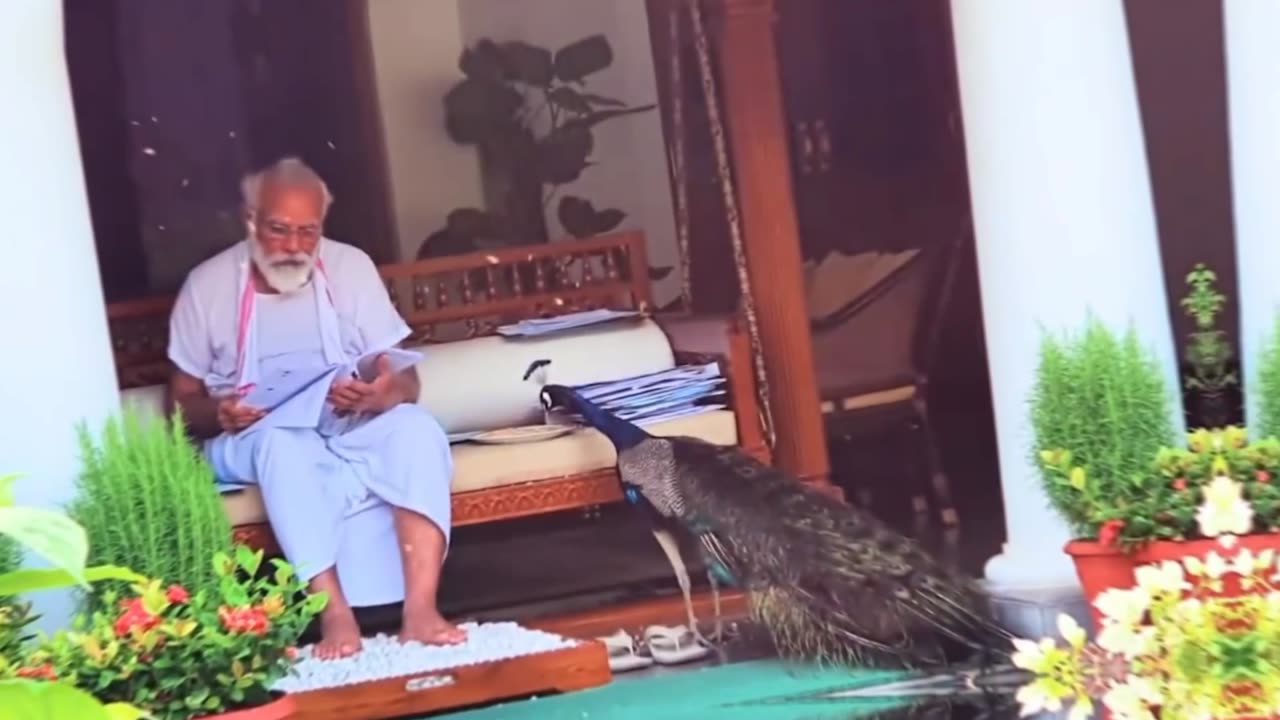 Precious Moments: PM Modi Feeding Peacocks At His Residence
