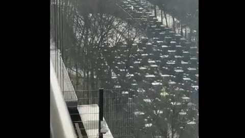 Dutch farmers takes to the streets.