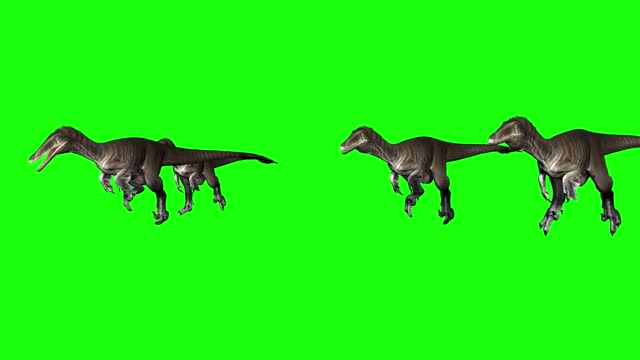 switching three dinosaurs running an animated video