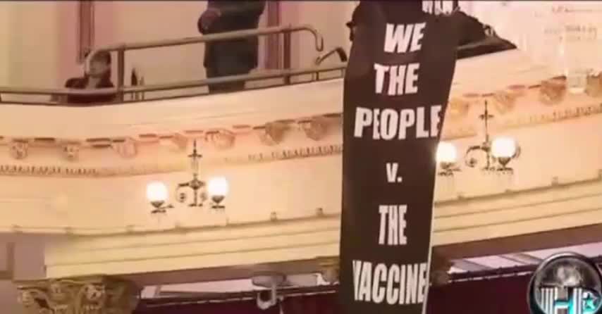 Vaccines are Toxic