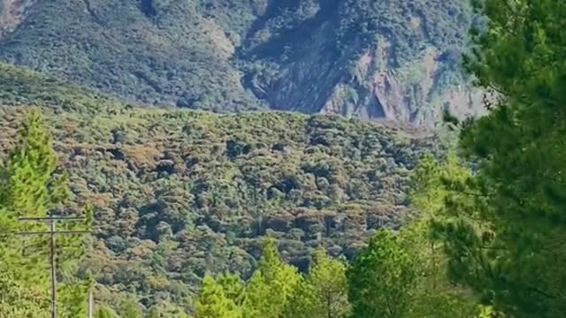 another breathtaking morning view from Mesilou kundasang 🍃📸