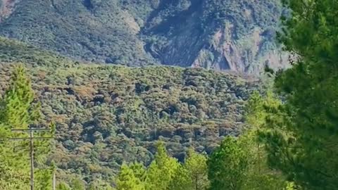 another breathtaking morning view from Mesilou kundasang 🍃📸