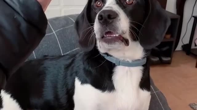 Here, let me help you!