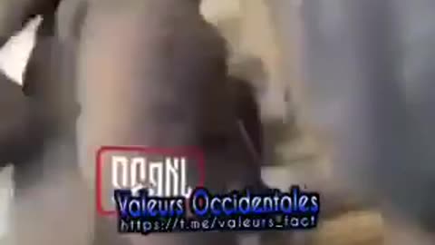 Young White British Boy Beaten And Terrorized By Brown Immigrants