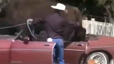 "I'm gonna take my bull to the old town road"