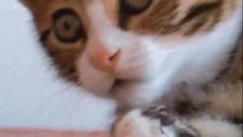 Finger Lakes | [Hunter Biden] | “The Truth Will Shock The World”-Q