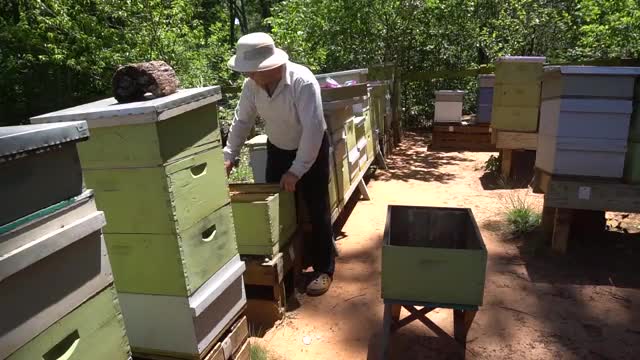 Пасека #13 Отводки Apiary #13 Layers sold. What to Do_Beekeeping for Beginners