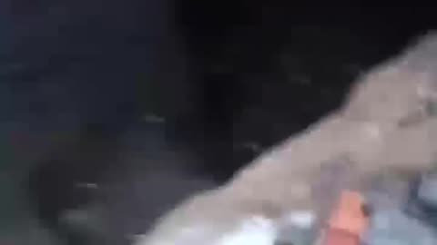 Ukrainian tank destroyed in Donbass