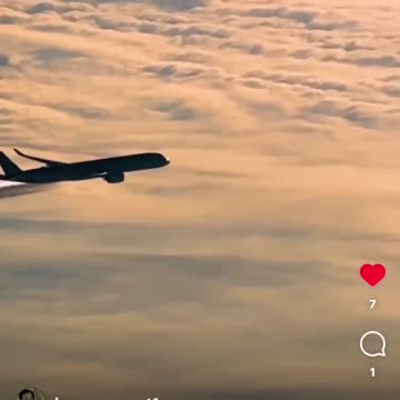 Spraying us like bugs mang