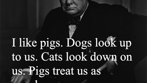 Sir Winston Churchill Quote - I like pigs...