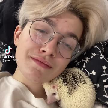 chilling with my hedgehog pet