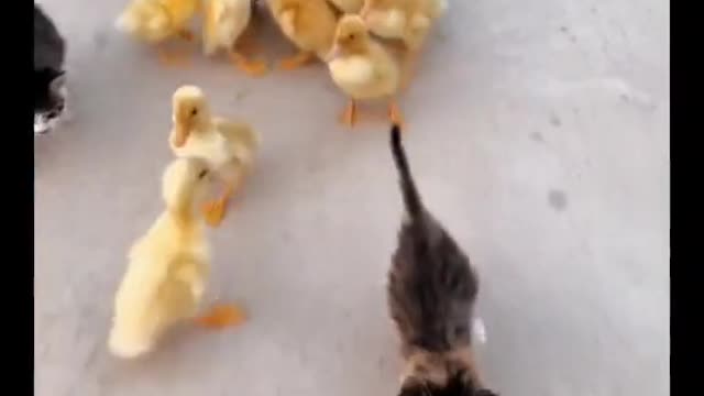 🥰🥰🥰🥰