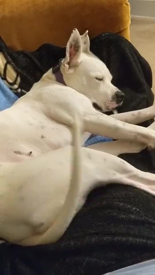 When you heard music and you are sleepy.mp4