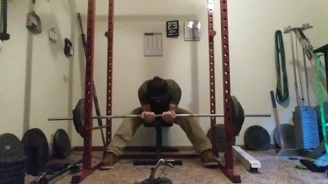Barbell wrist curls (no fat grips)